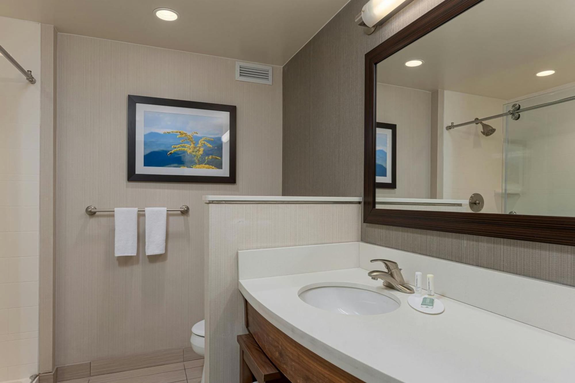 Courtyard By Marriott Asheville Airport Fletcher Extérieur photo